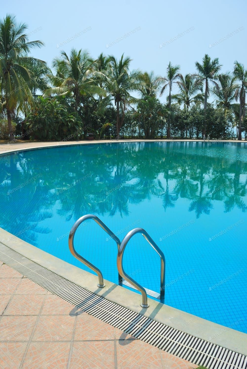 Large clean swimming pool with clear blue water, palm trees and pool ladder