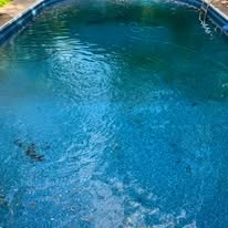 Above-ground pool with cloudy water and leaves before service