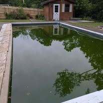 Pool with green water before cleanup service